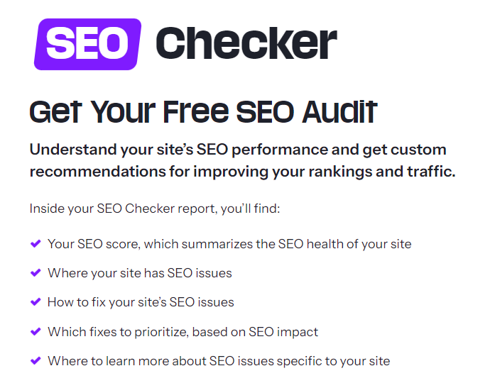 SEO Checker audit tool