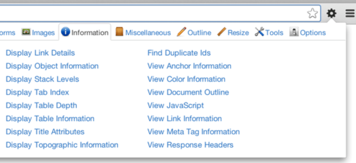 Web Developer Firefox SEO plugin