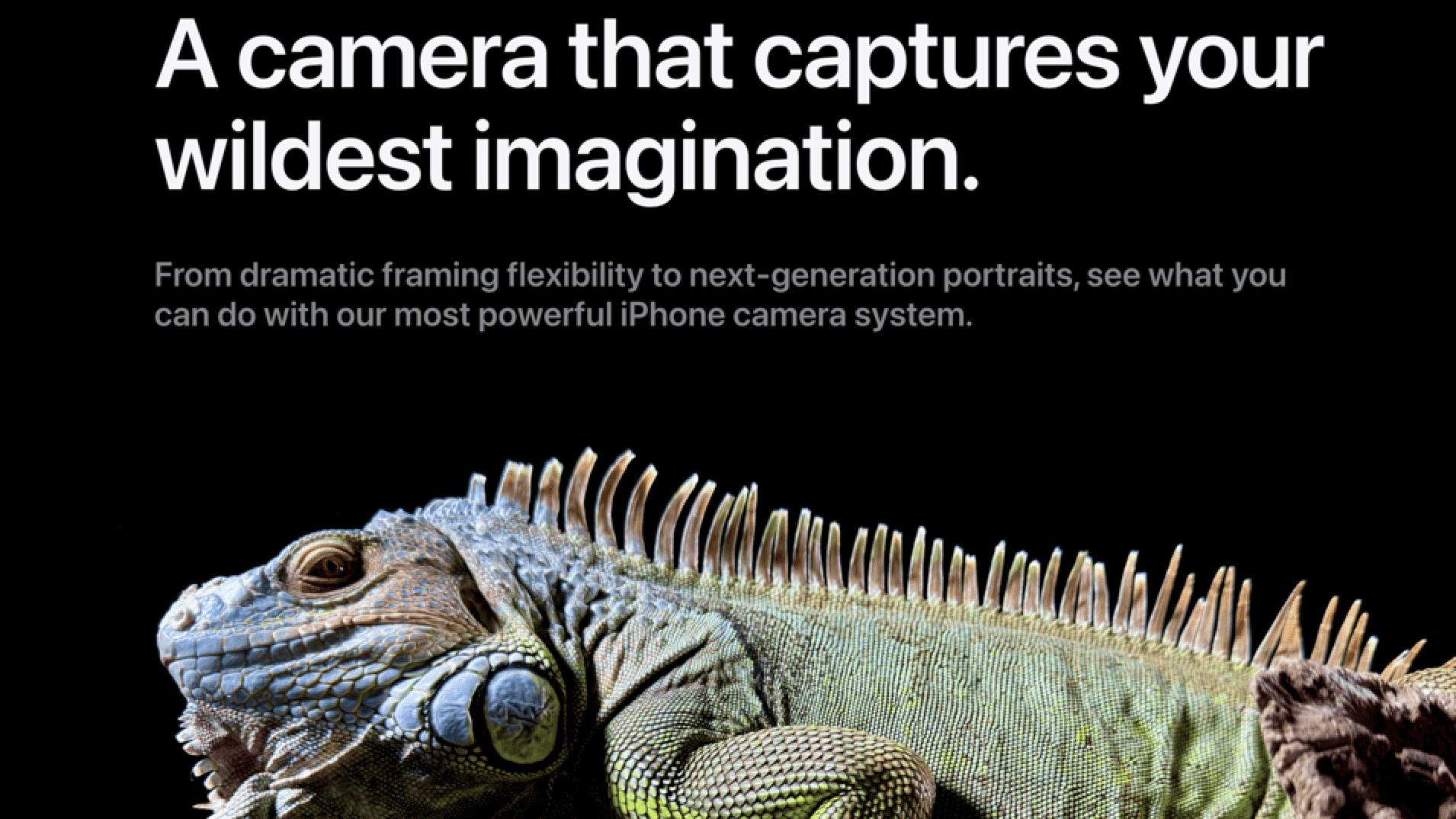 Crisp image of an iguana on a black background, beneath a headline about the iPhone camera