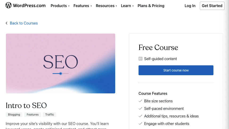 WordPress "Intro to SEO" course page