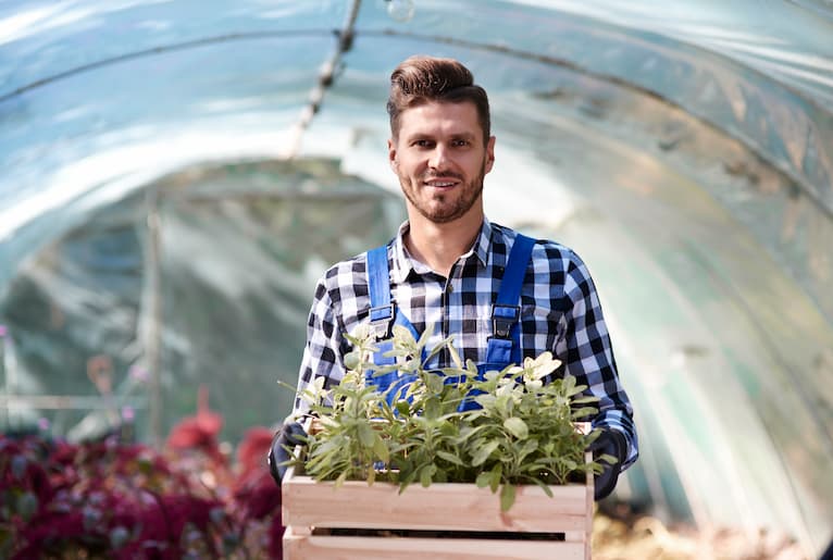 3 Things You Didn't Know About Green House Kits