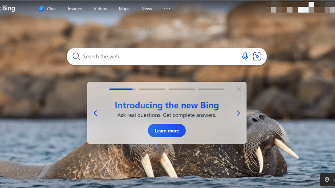 Google vs. Bing: Die Suchmaschinendebatte - SEO.com