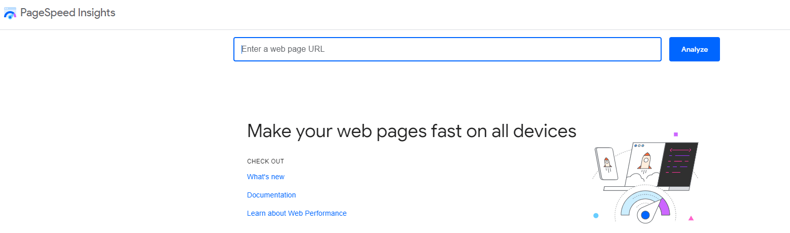 Google PageSpeed Insights homepage