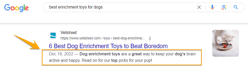 example of meta description in search result
