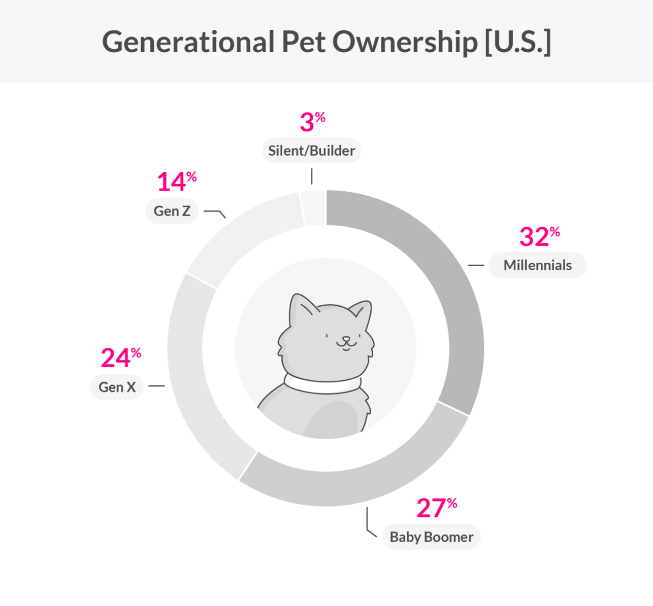 Infográfico sobre a posse de animais de estimação por idade