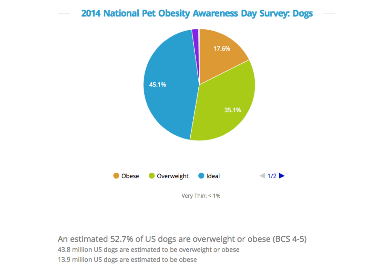 Gráfico de obesidade em animais de estimação