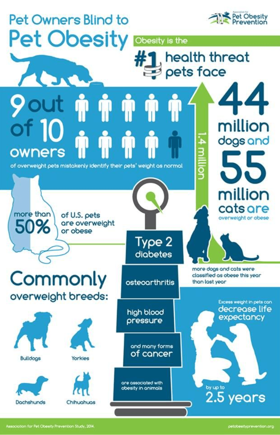 Infográfico sobre a obesidade dos animais de estimação