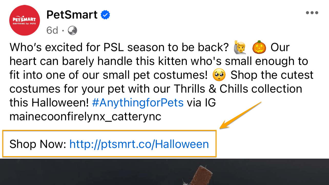 PetSmart social media post with a "shop now" link