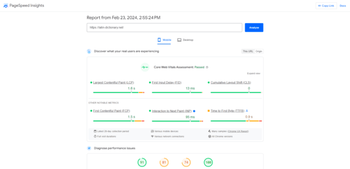 a screenshot of a pagespeed insights report