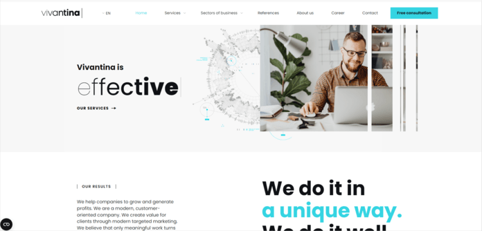 Vivantina best PPC company