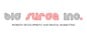 a picture of big surge inc's logo