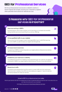 seo for professional services infographic