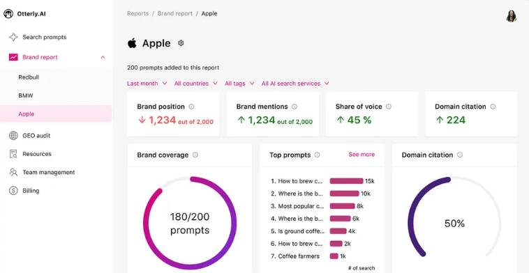 Dashboard for Otterly.ai