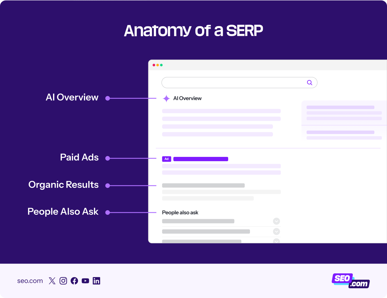 anatomy of a serp