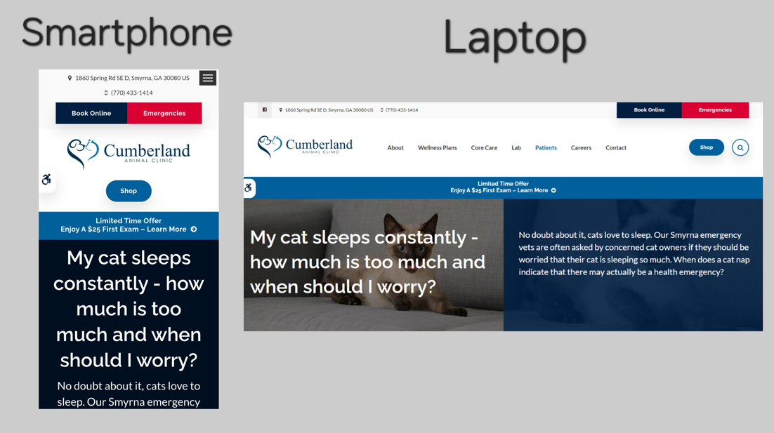 mobile device vs. desktop view