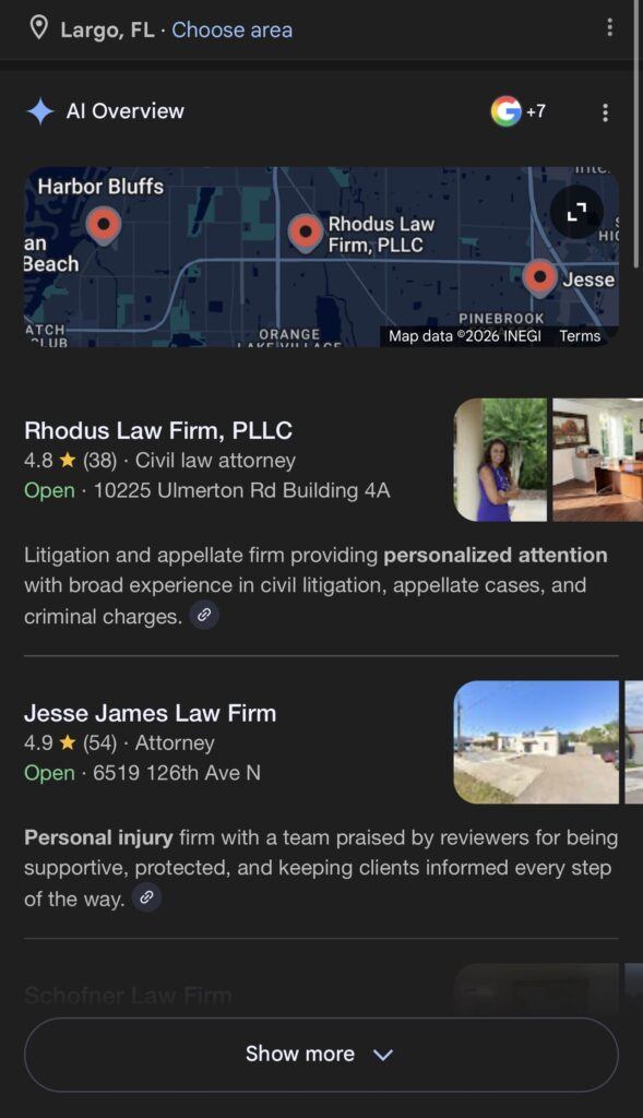 AI overview in local search